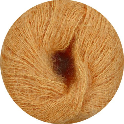 Zen apricot